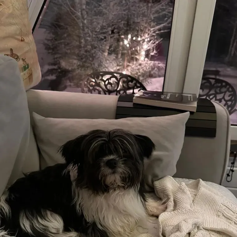 Дом с баней и чаном у леса