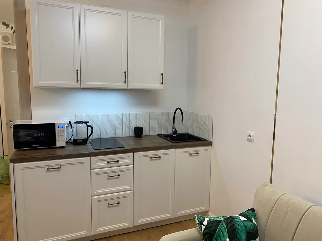 Шикарная студия на Парнасе