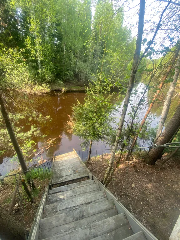 Уютный домик на берегу реки