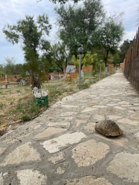 Апартамент с видом на город на крепость и на море