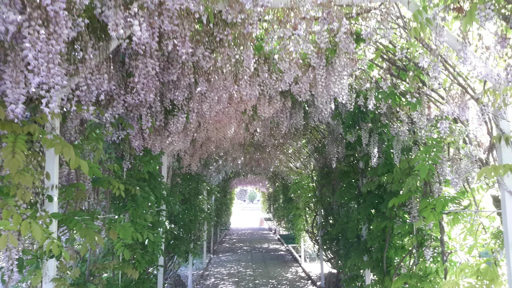 Пансионат "Любоморье", корпус 5