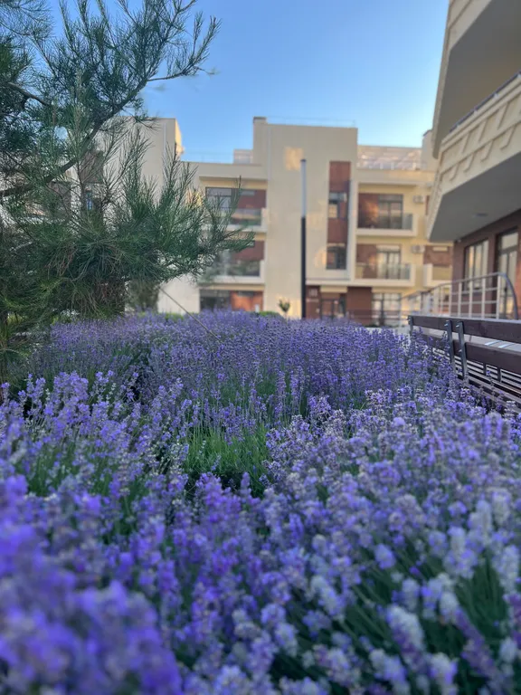 Дизайнерские апартаменты в Atlas Apart-hotel spa