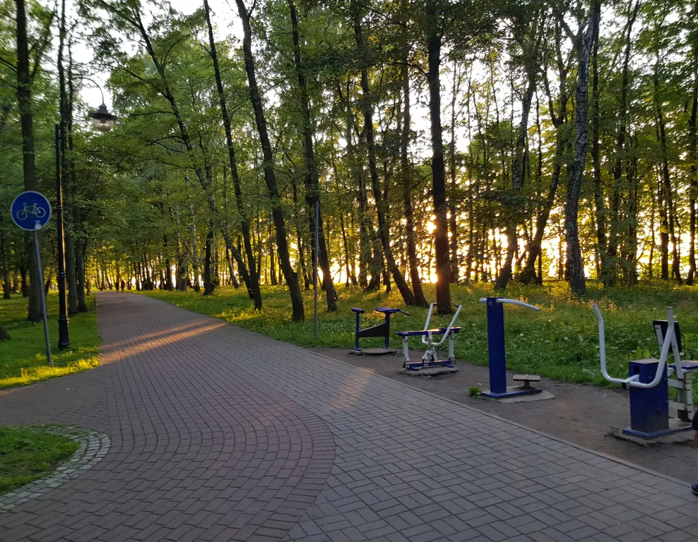 Квартира Апартаменты у Балтийского моря в Светлогорске — Светлогорск