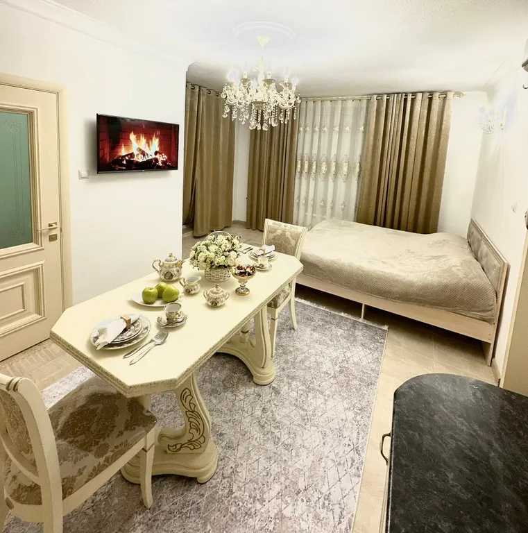 Уютная комната-студия в центре города