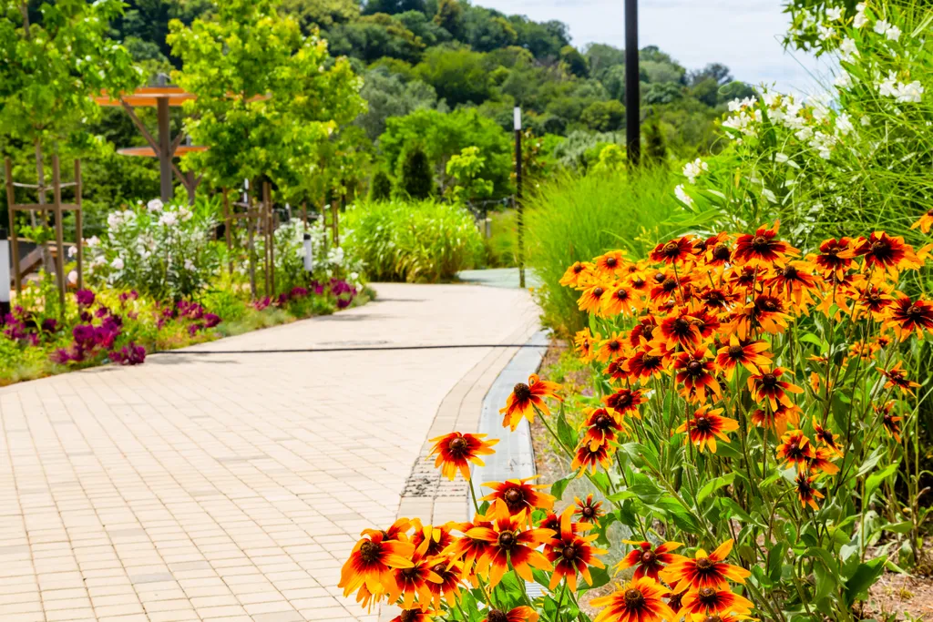 Комфортная студия