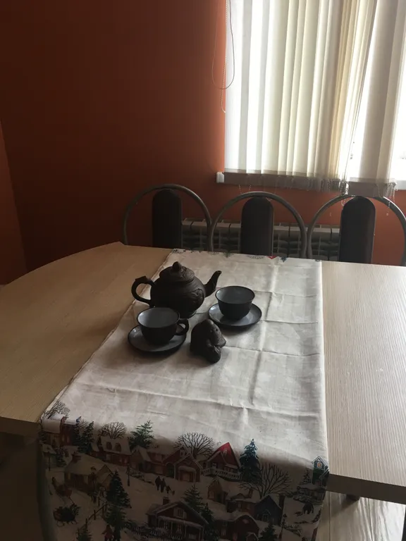 Новый таунхаус на Банном с мангалом и террасой