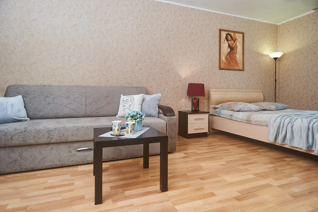 Просторная квартира в центре