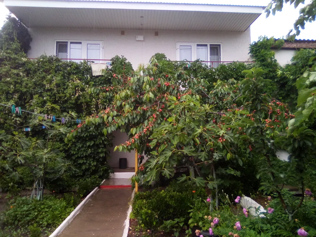 Kомната с видом на море и генуэзскую крепость