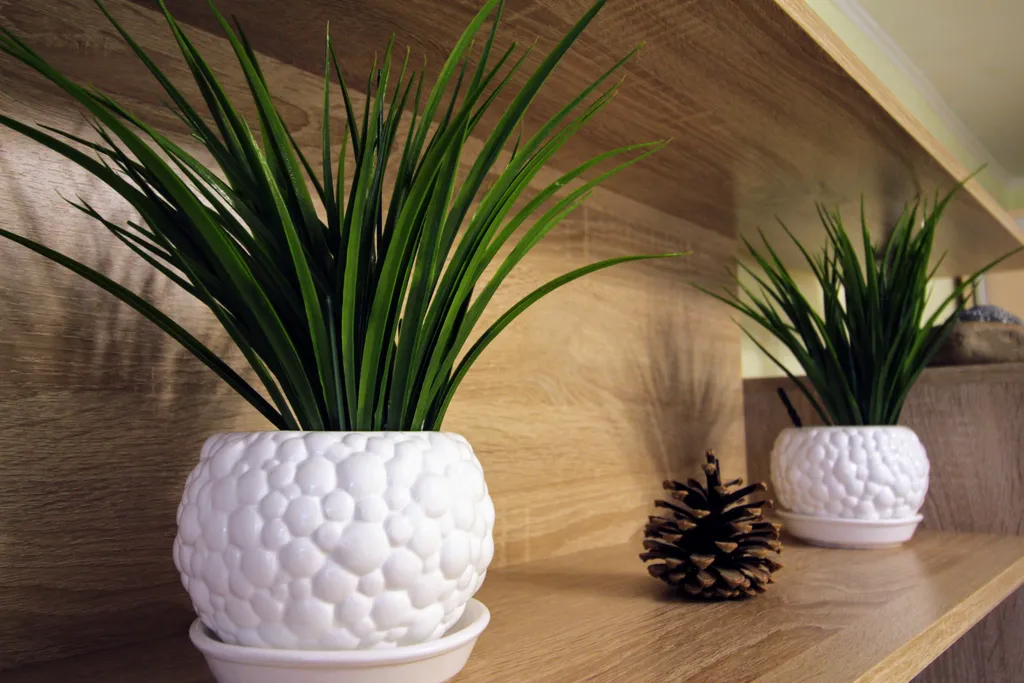 Уютная квартира с видом на море и горы