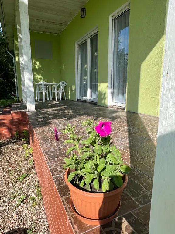 Живописная усадьба в лесу у озера