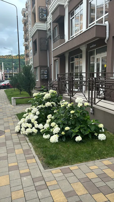 Новая студия с дизайнерскими ремонтом