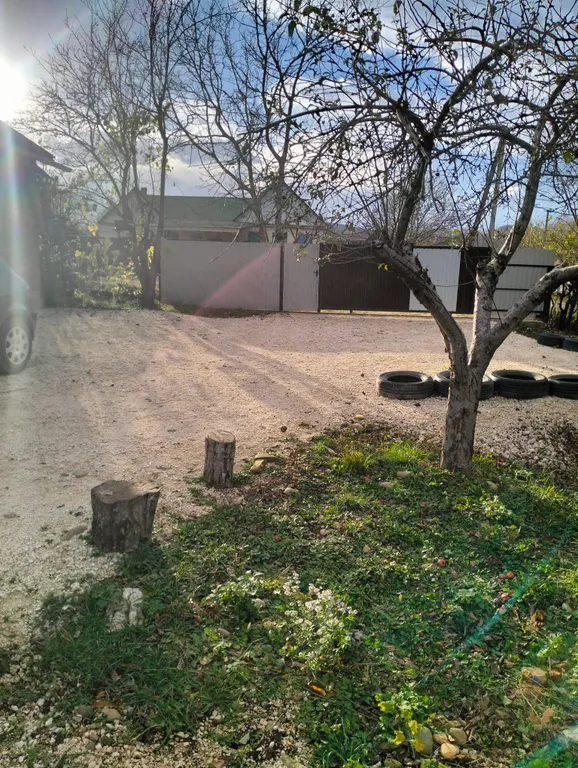 У Софии в деревне