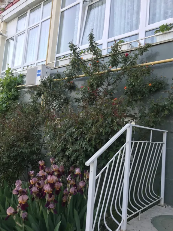 Квартира с видом на море