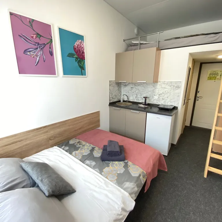 Квартира Квартира Апартамент Нижний Ораниенбаум Двухуровневая студия — Ломоносов