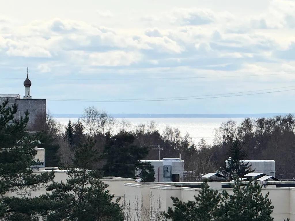 Толстянкин дом