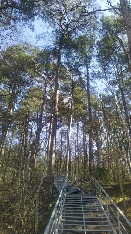 Квартира Квартира Дизайнерская Студия Апарт Аристократик, озеро Тихое 3 минуты пешком — Светлогорск