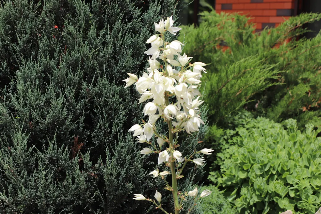 Загородный дом-шале "Pinebrook", аренда, у реки Дон. Сезонный бассейн.