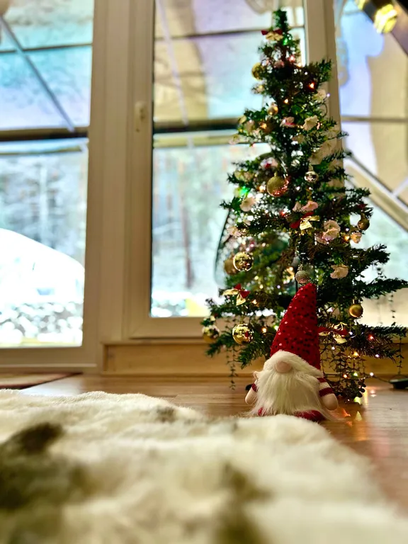 Отдых в Горном Алтае