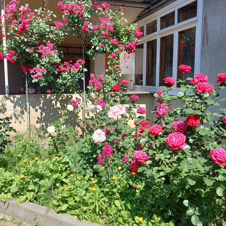 Коттедж Отдельно стоящий домик в центре Кисловодска — Кисловодск