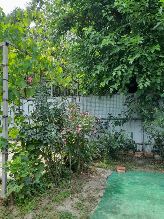 Дом с видом на горы