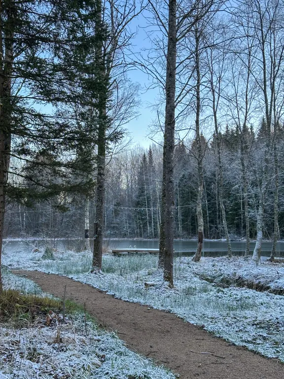 Уютный дом нa бeрегу лесногo озeра