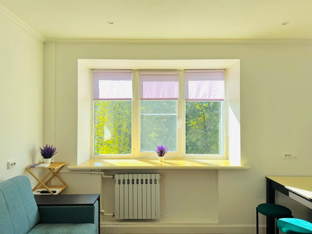 Студия с кондиционером с видом на Спасо-Яковлевский монастырь