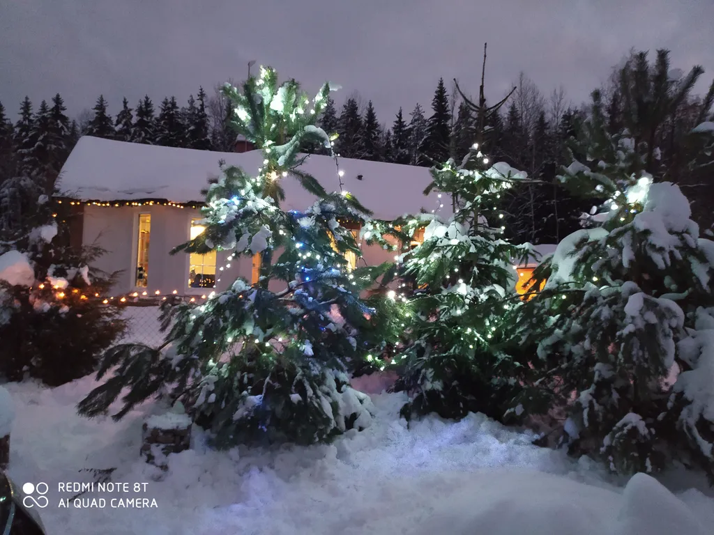 Хутор Избушка на опушке леса, возле реки