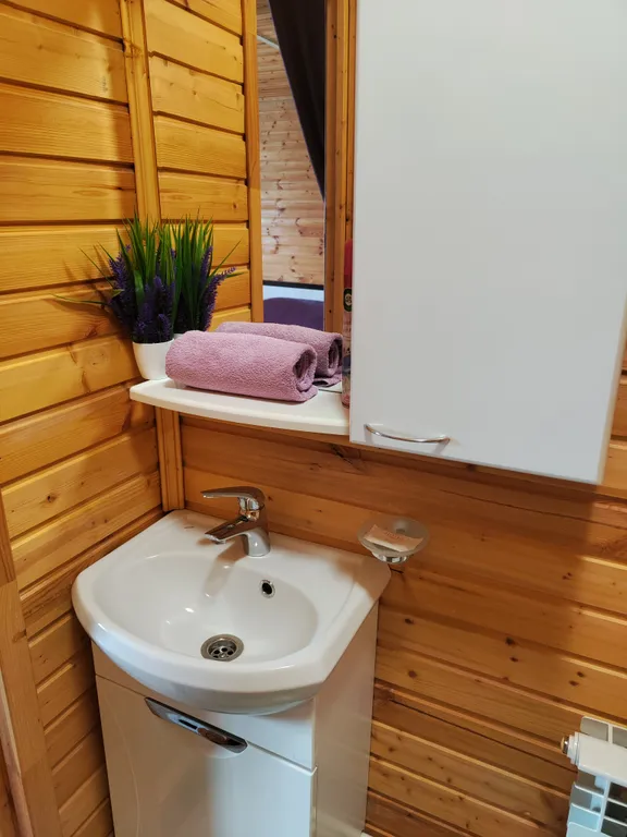 Дом-баня в черте города