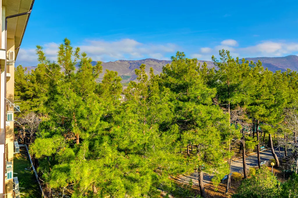 Апартаменты Горизонт