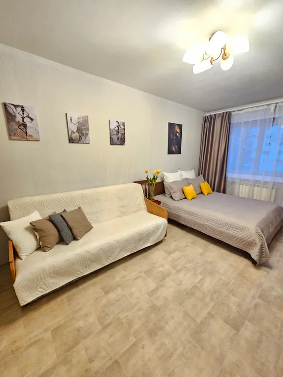 Просторная однокомнатная квартира