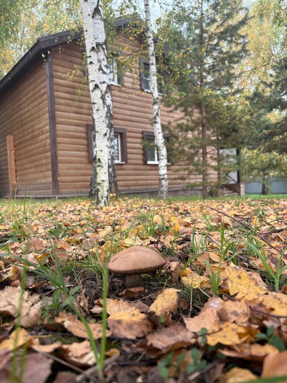 Уютный дом с баней недалеко от города