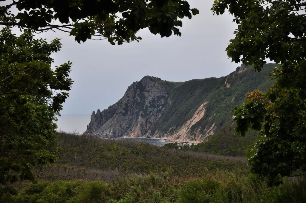 Уютная студия с дизайнерским ремонтом с видом на море и остров Петров