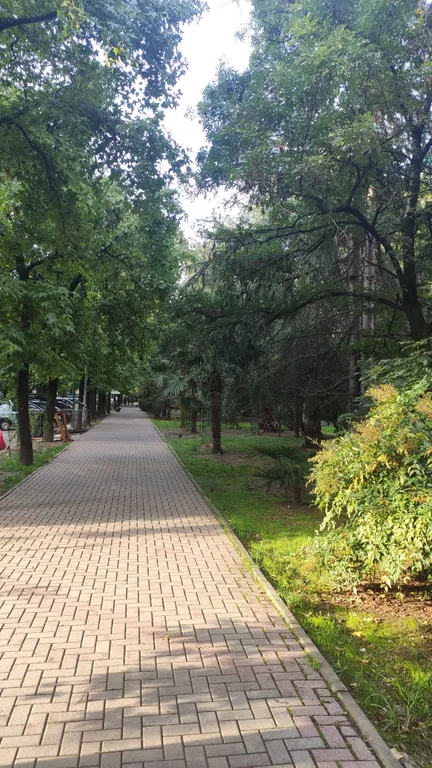 Апартаменты Роз в центре города