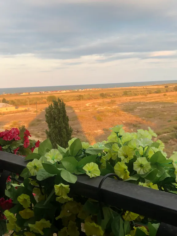 Квартира Квартира Уютная евродвушка с видом на море — Махачкала