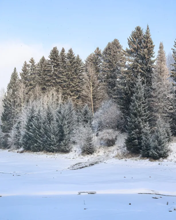 3-комнатный благоустроенный дом на берегу залива, 20 минут от города