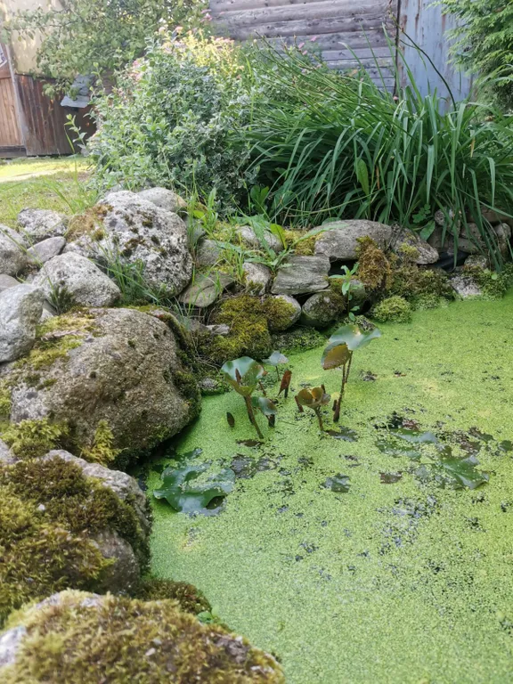 Дом 2 этажа, баня на дровах