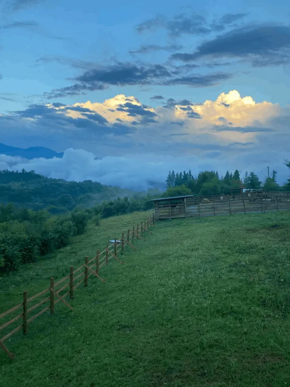 Коттедж Маленький домик в глэмпинге эко-ферма Гуляй поле — Сочи