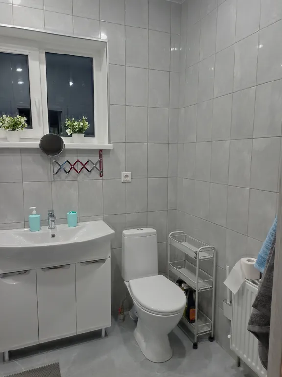 Уютный дом на Онежском озере