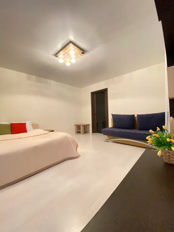 Очень просторная квартира свободной планировки