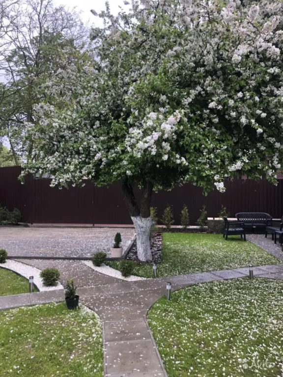 Дом на Куршской косе