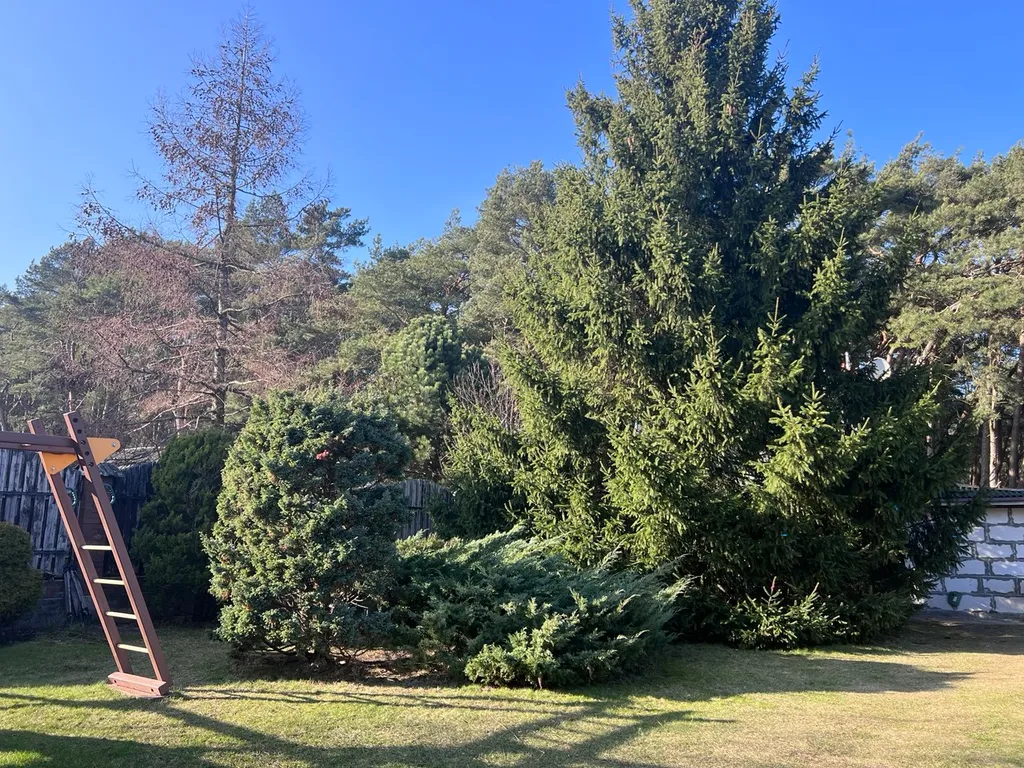 Дом у моря для большой компании