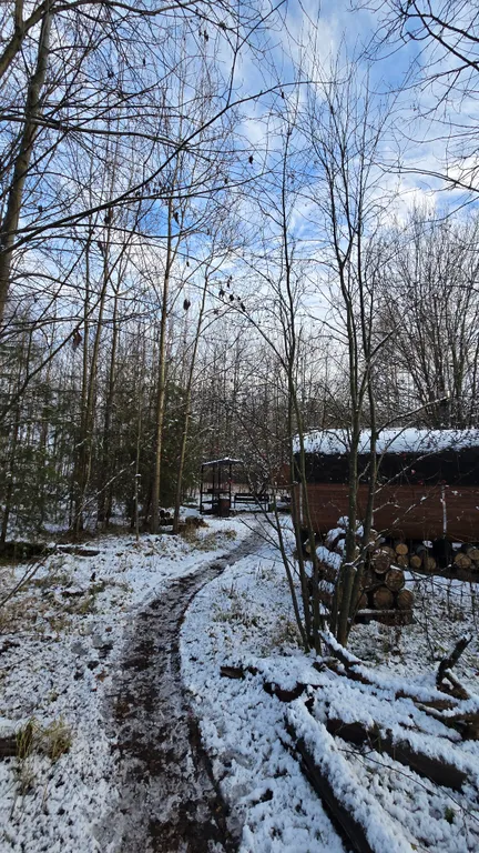 Коттедж Уютный дом в стиле барн — Дятловка