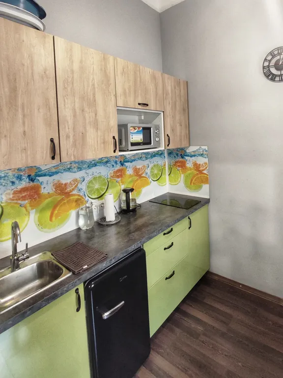 Квартира Квартира Лофт-студия с кухней в центре Васильевского острова — Санкт-Петербург