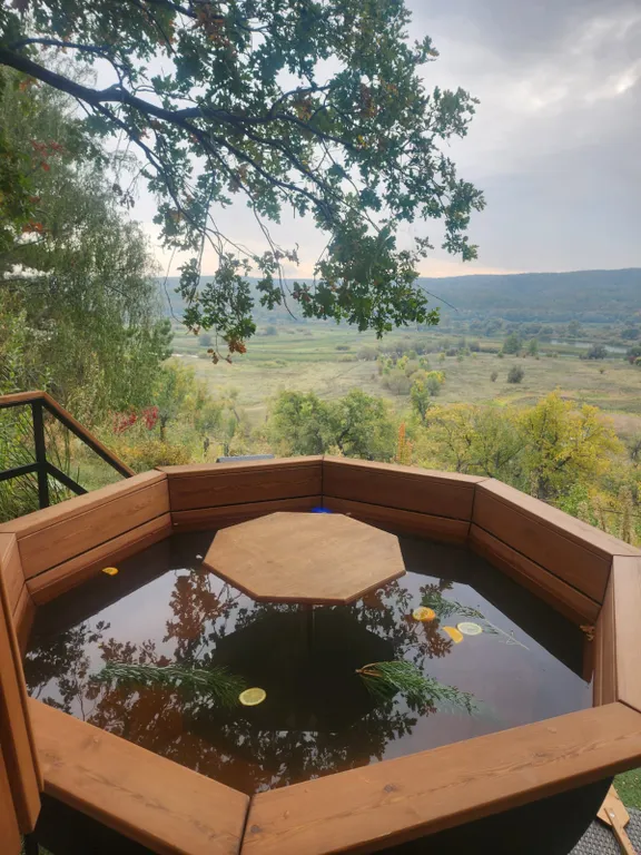 Дом Швейцария