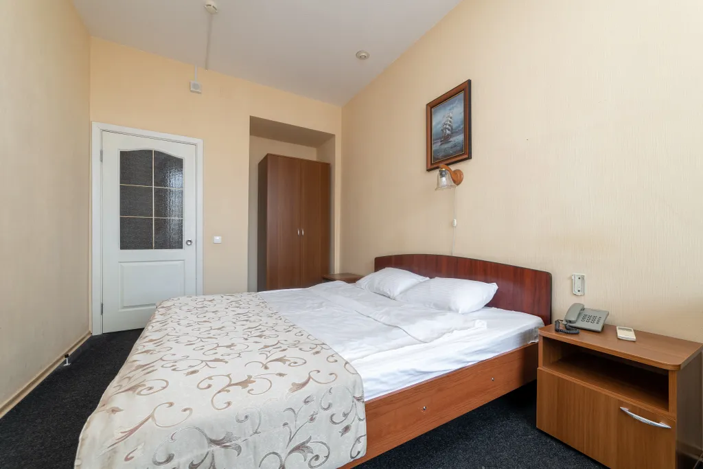 Двухместный номер категории Стандарт с 1 двухспальной кроватью