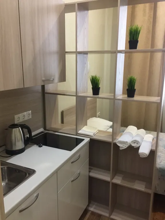 Квартира Квартира Уютный апартамент гостиничного типа — Красноярск