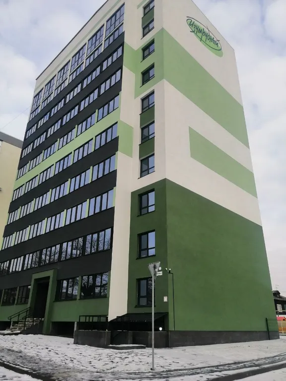 Студуя в центре города