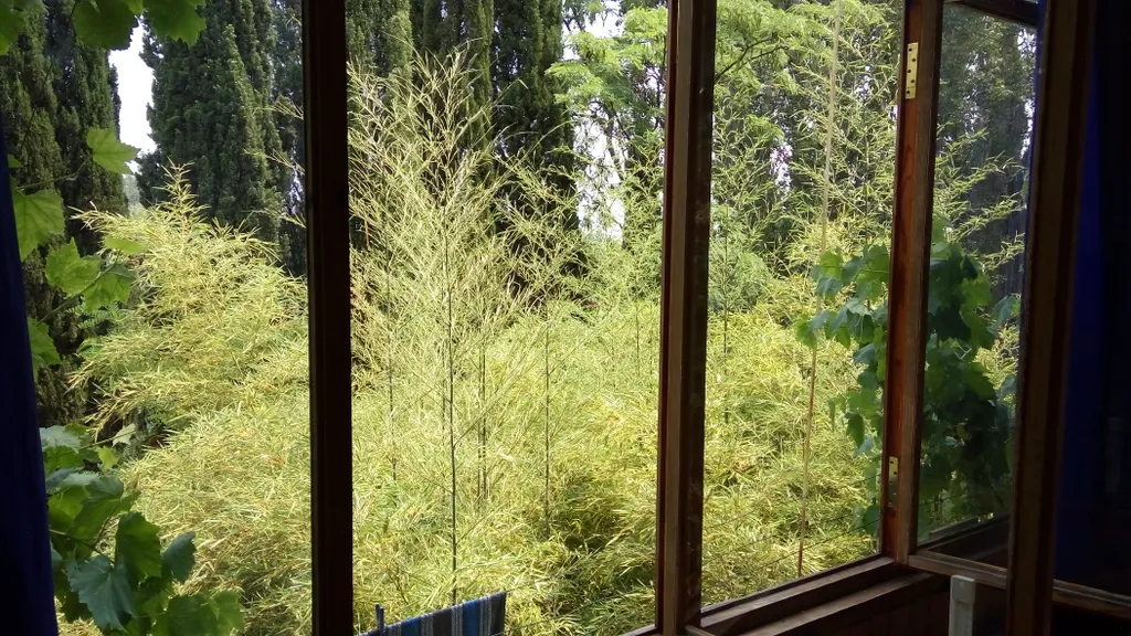 Квартира в центре города на 4 человека