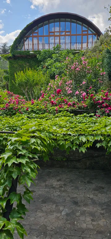 Солнце Ялты