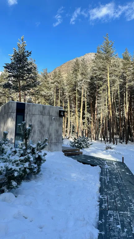 Глэмпинг в лесу